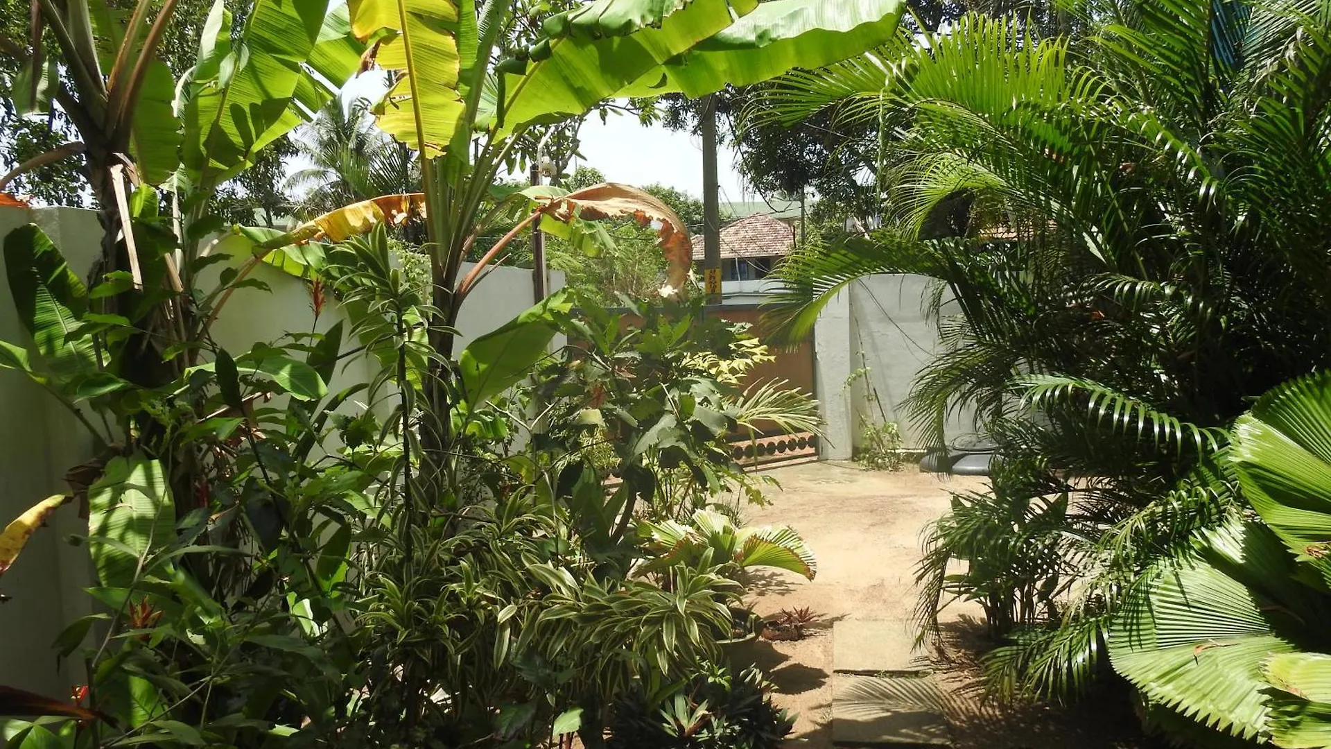 Alleppey Beach Garden Alappuzha